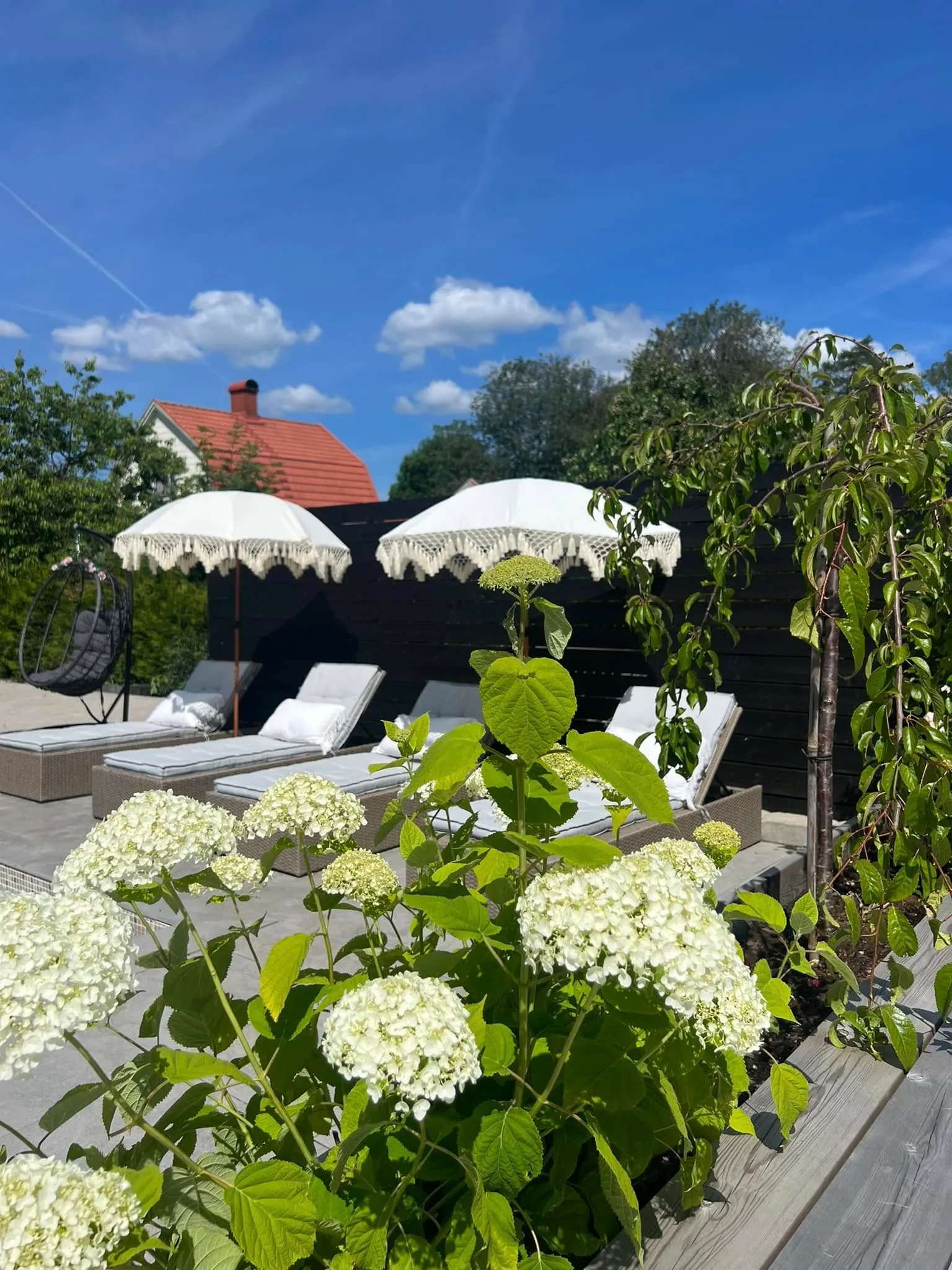 Loungedel på trädäck med solstolar, parasoller och blommande hortensia
